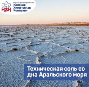 Техническая соль со дна Аральского моря